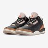 Air Jordan 3 Retro "Desert Elephant" CT8532-008