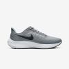 Air Zoom Pegasus 39 Grey  DH4071-005