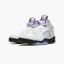 Air Jordan 5 "Concord" DD0587-141