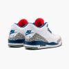 Air Jordan 3 Retro OG "True Blue" 854262-106