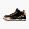 Air Jordan 3 Retro SE "Animal Instinct" CK4344-002