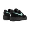 Tiffany & Co. x Air Force 1 Low "1837" DZ1382-001